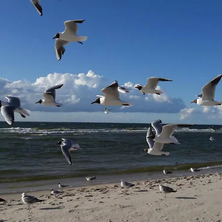 Turkus By Mirella * Miedzyzdroje